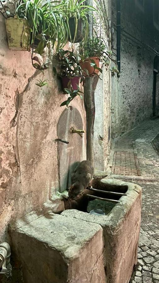 Le Petit Bijou Di Dolceacqua, Per Un Momento Romantico 외부 사진